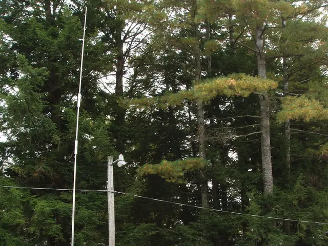 Neglected Safety Measures Frequently Overlooked by Caravan Owners