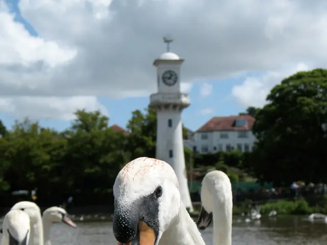 Overcoming challenges to construct a residence in a flood-prone conservation region proved to be a...