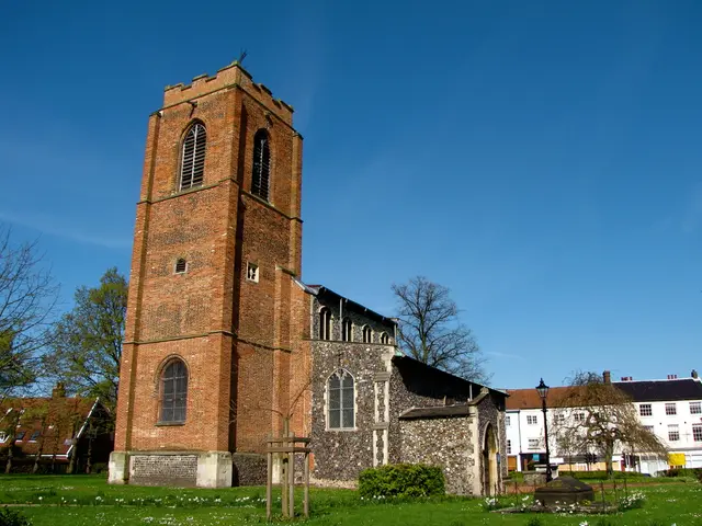 Attention needed when purchasing power tools for gardening, powered by batteries