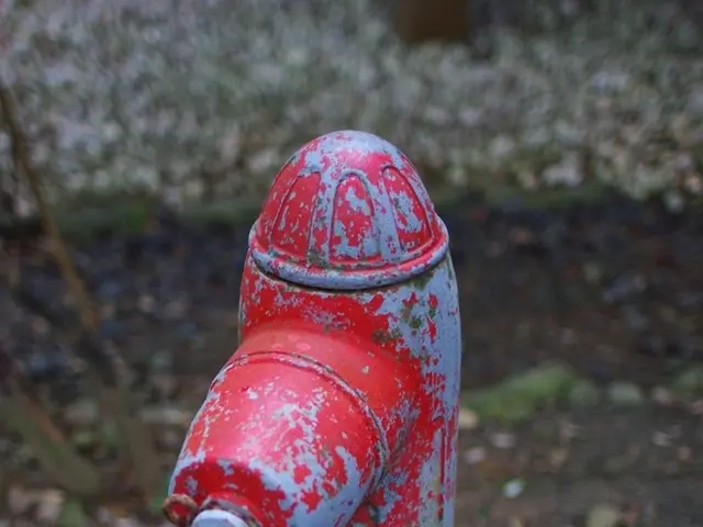 Home mishap with boilers potentially boosting summer temperatures - Discussing the 'single...