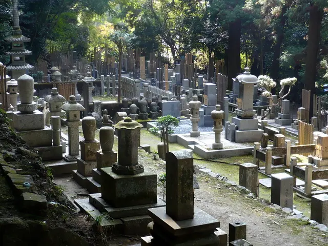 Tree Growing Movement Surges Across Globe