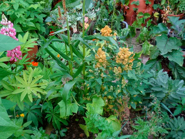 Strategies and Suggestions for Efficiently Arranging a Vegetable Garden Inside a Greenhouse