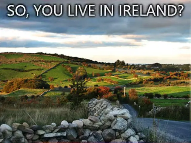 Local Commercial Venture Requests Assistance in Rehabilitation Post-Wildfire