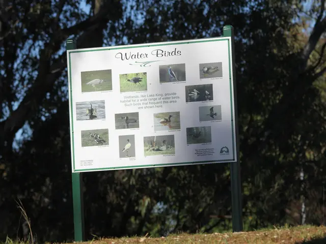 Seabirds such as seagulls do not typically perch on trees due to their preference for coastal...