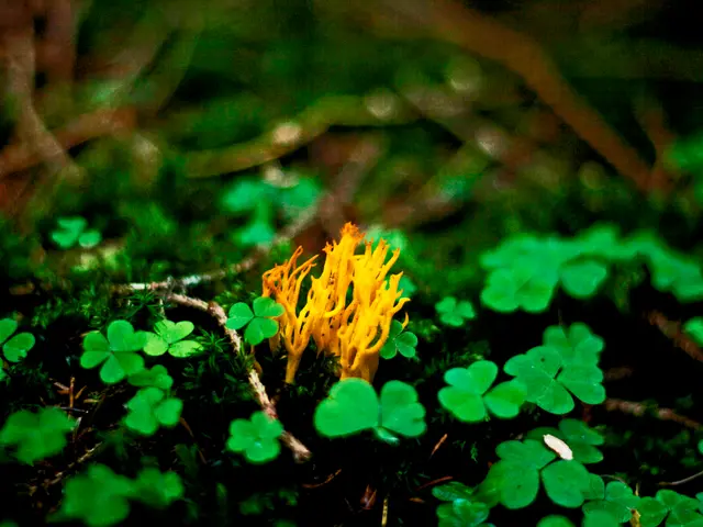 Analyzing Soil's pH Levels Without Harming Vegetation