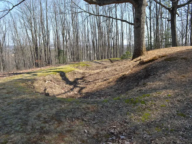 Guide for Timing, Techniques, and Reasons for Aerating Your Yard