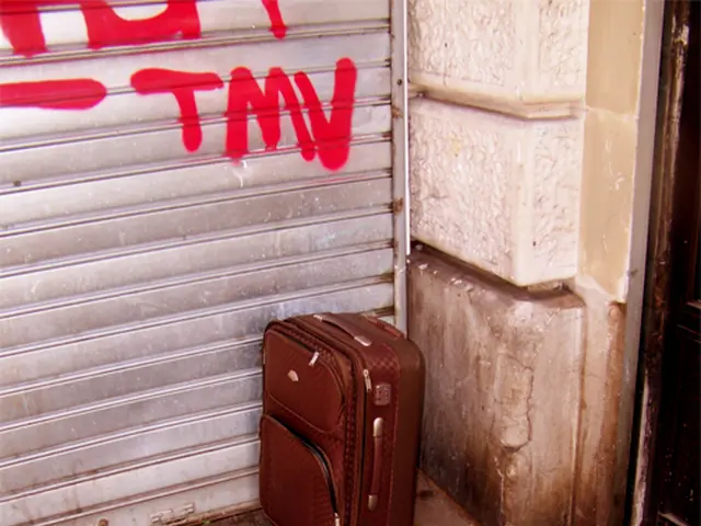 Budget-Friendly Target Luggage Resembles Expensive, Internet-Hyped Designer Brand