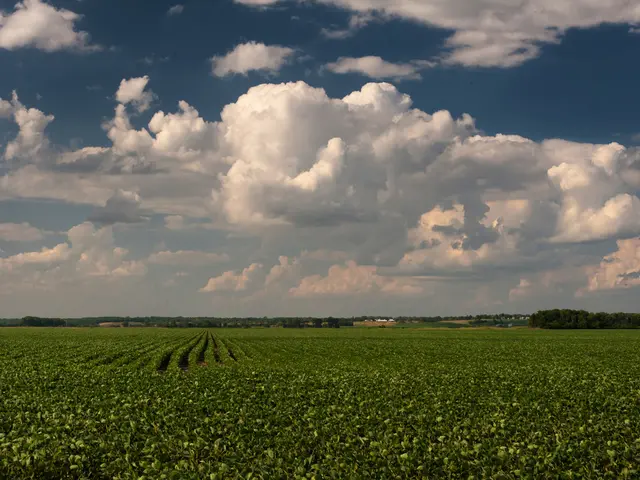 Exploring Harmony in Hues: An In-depth Analysis of 2025's Color Trends Influencing Multi-Family...