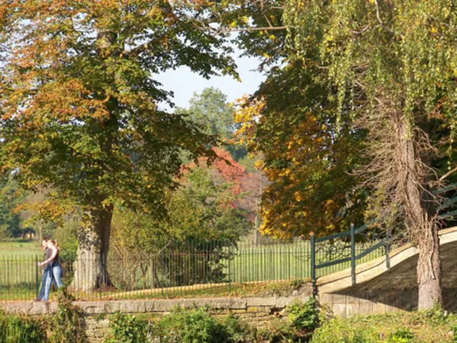 Experience nature in a relaxing and immersive way, a travel trend that positively impacts mental...