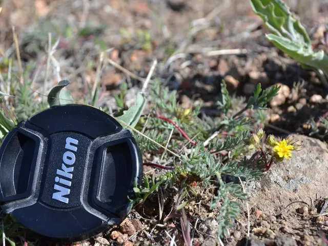 How to Address a Lawn That's Gradually Shrinking