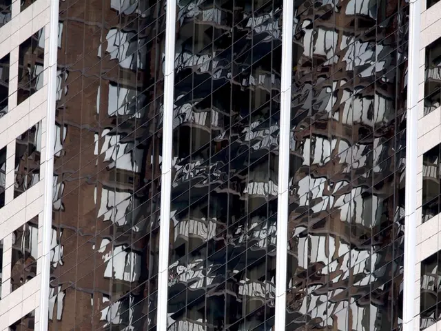 Redesigning Spaces: The Progression of Window Architecture and Purpose