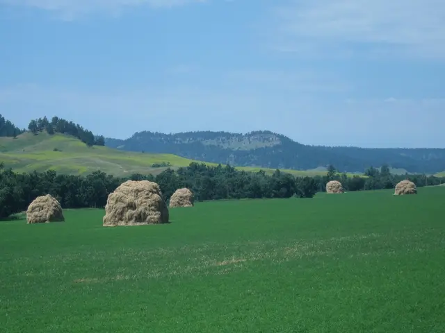 Utilizing Blue Hour and Golden Hour in Landscape Picture-Taking Techniques