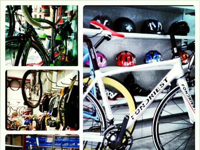 New York City calls upon Lyft to mandate identification checks for Citi Bike e-bikes to prohibit...