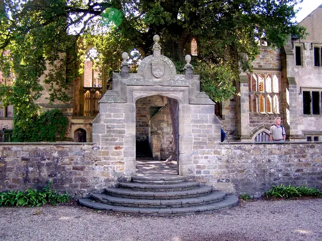 Exemplary professionals specializing in premium content editing.