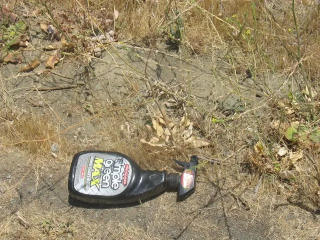 Homemade Liquid Fertilizer Recipes for Plants - Five Potent Elixirs to Create