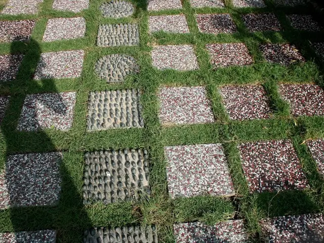 Efficiently weeded driveway and path within an hour using this clever two-piece weeding solution