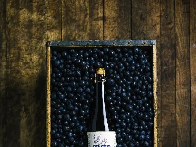 Eco-Friendly Cleaning Solution You Can't Miss: Dedtergent