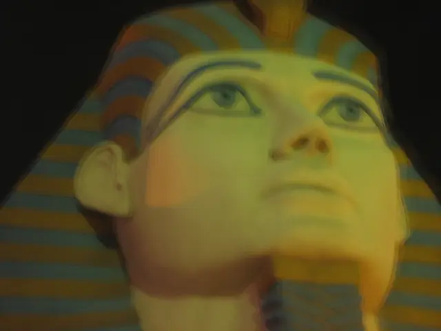 Daejeon celebrates Liberation Day with unique merchandise and festivities.