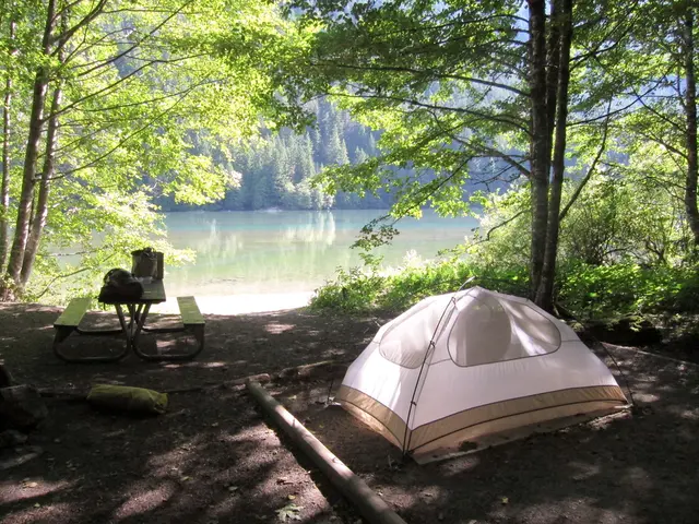 Camping and using shelters in Mount Greylock's Western Slopes backcountry area