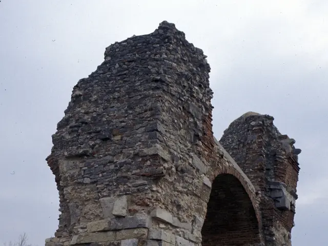 Charity organization, Hard Rock Heals Foundation, dispenses a quarter of a million dollars to...