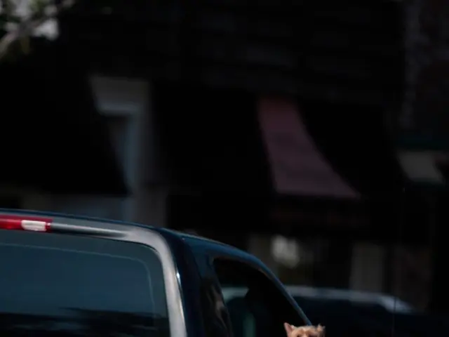 Officer rescues abandoned dog from sweltering vehicle in hotel parking lot, subsequently adopts the...