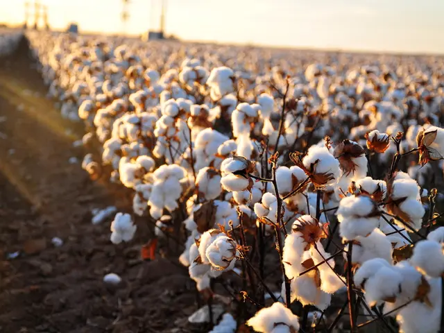 Cold-Season Soil Covering Technique