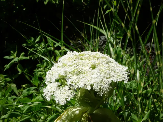 Top Choices for Shaded Interiors and Somber Design Schemes