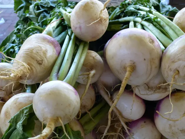 Growing and Savoring Nutritious Produce from Your Garden