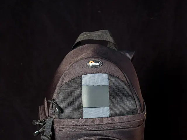 Hemp Oil Packaging: A Sustainable Approach to Product Branding