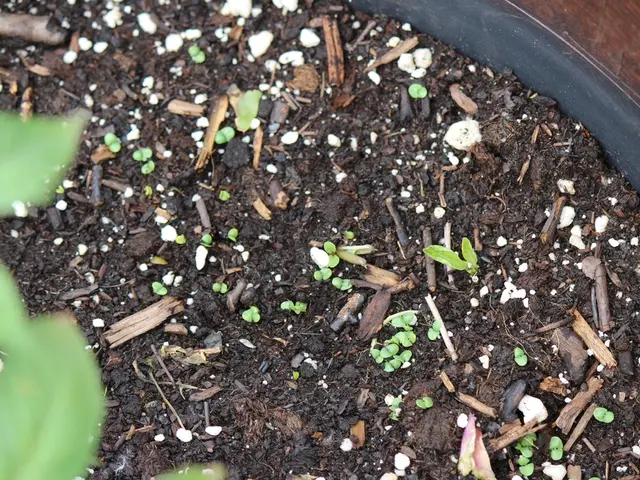 Composition of Soil Explained