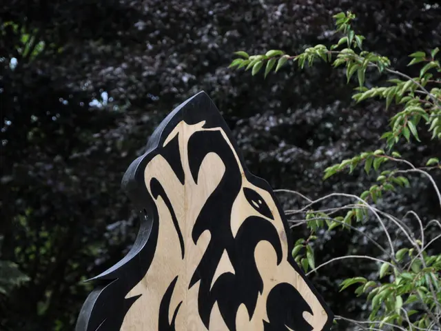 Is it acceptable to utilize fence paint for decking? Experts offer their opinions on this question