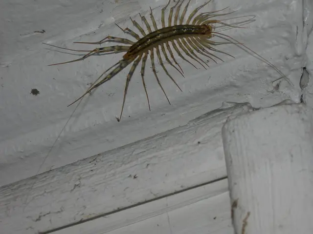 Behind the allegations, a family points towards faulty insulation as the root cause of a severe...