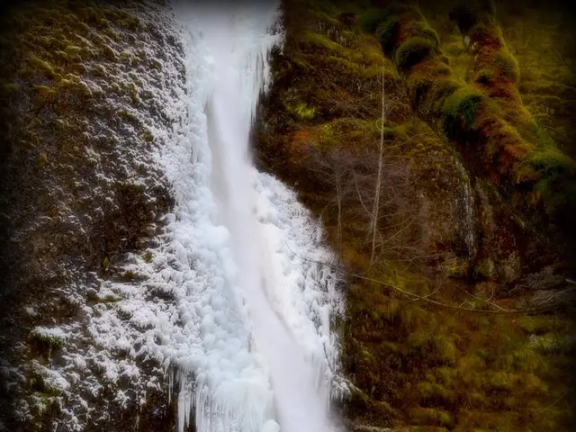 Creating Winter Charm: DIY Porch Flower Pot for the Holidays