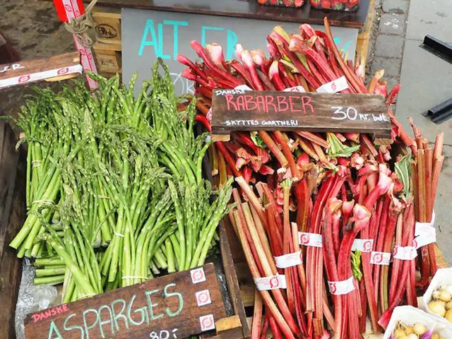 Landscape-friendly Mulch Alternatives to Consider