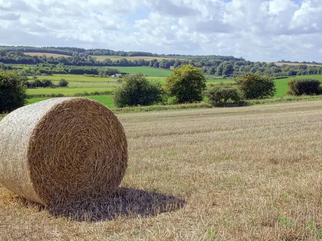 Optimizing topsoil usage for your garden: Discover the top 4 ways to effectively apply topsoil in...