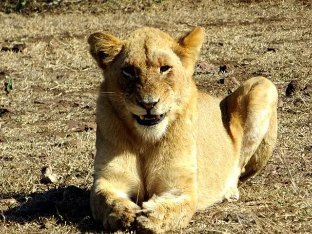 Zoo personality passes away at the young age of 19