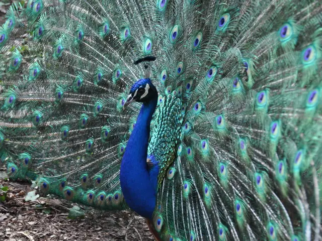 Peonies' Planting Timeline in New England: A Seasonal Roadmap for Green Thumbs