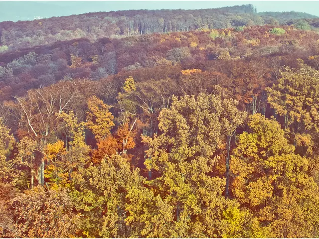 Anticipating the 2025 Planting Campaign