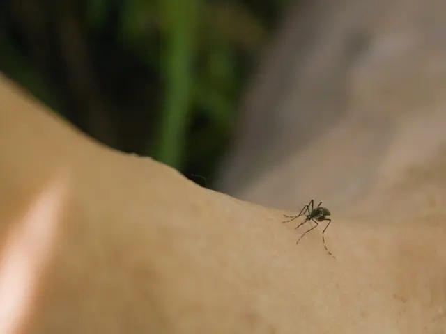 Explanation for the Increased Prevalence of Mosquito Bites on You