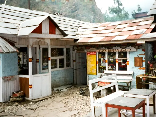 Garden owner allows garden to revert entirely to its natural, untamed state.