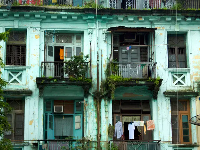 Verify the Safety of Colored Mulch in Gardens - Do Colored Mulches Pose a Toxic Risk?