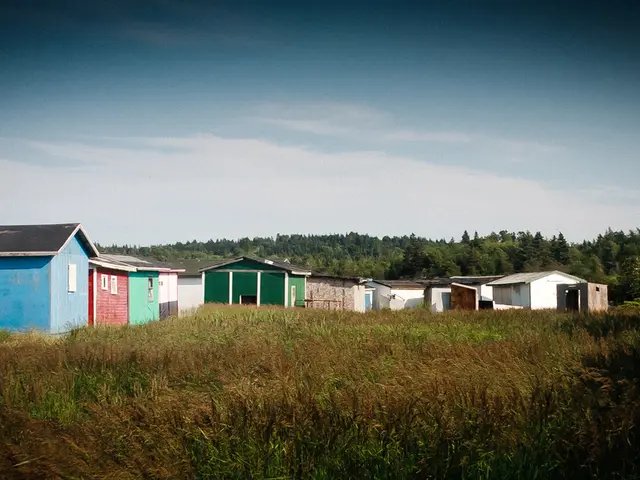 There are plants and grass on the ground. In the background, there are houses which are having...