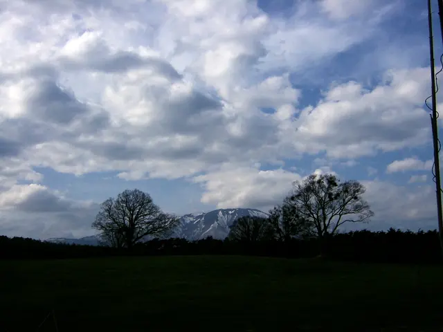 There is a meadow. In the back there are trees, hills and sky with clouds.