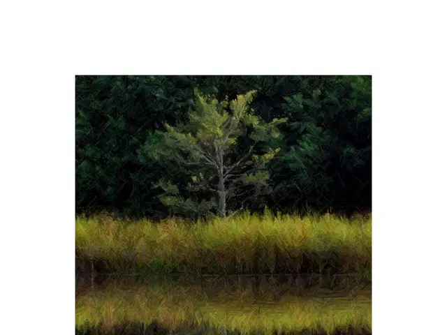 In this picture we can see grass and few trees, at the bottom of the image we can find some text.