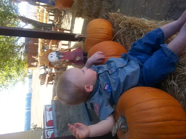 In the center of the image we can see a boy sitting. There are pumpkins, next to him there is a...