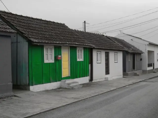 This is a black and white picture, there is a green color home in the middle and remaining all...