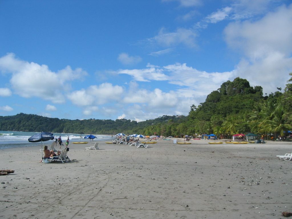 Bonfires slated for Regensburg district during St. John's Day celebrations.