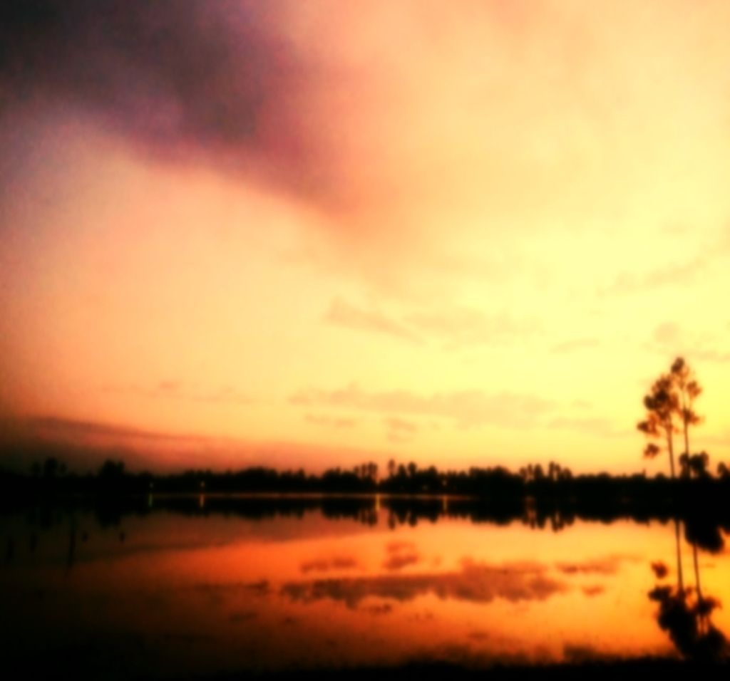 Architect Alice Asafu-Adjaye's Residence in Accra, Ghana: A Striking Homestoned on a Constrained...